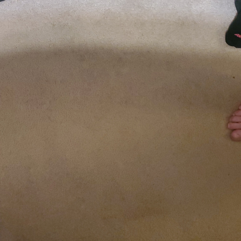 Meet your Posher, Brad